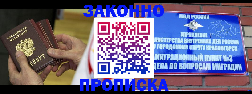 прописка для школы в Курске